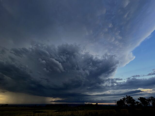 Storm with mammatus Picton 2023